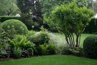 難得一見的園林綠化施工過程全記錄 從荒地到園林的蛻變之旅