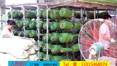 那曲索縣引進(jìn)PE仿真草坪，開啟高原綠化新篇章